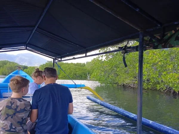 Mangrove Tour (3) Mangrove Tour (3)