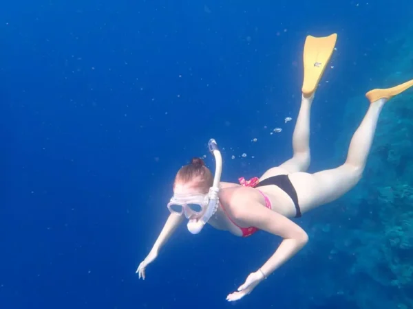 Snorkeling (7) Snorkeling (7)